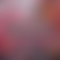 Pink poster for Waterford Festival of Food, Dungarvan, 24th-26th April 2026, featuring flowers, coffee grinder, wine, oysters, and honey jar.