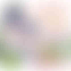 ArthroAroma at Arboretum