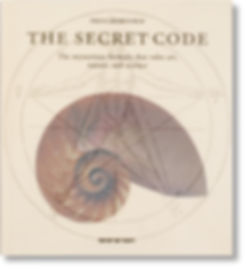 The Secret Code by Priya Hemingway