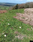 Screen Shot 03-16-26 at 08.03 AM.PNG