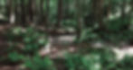 background.jpg