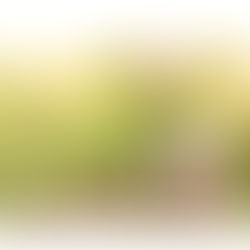 Preço vs. Valor em Cirurgia Plástica: Entendendo o Que Realmente Importa na Escolha do Cirurgião