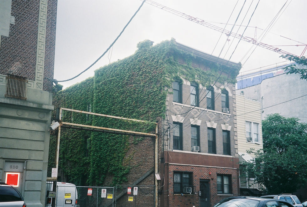 Roll1_683roman-R1-08-10