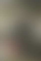 In The Line Of Fire Movie