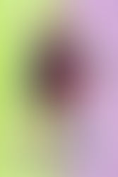 Freaky Friday Film Poster