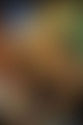 21 Jumpstreet Original TV Show