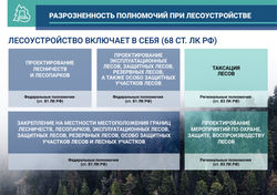 рослесинфорг-05