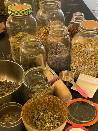 Ayurveda is focused on living a lifestyle that will support longevity, moving with ease and grace with aging. It provides tools for the body, mind, sense and soul to primarily focus on maintaining good health and preventing disease through simple, accessible, and sustainable daily practices.