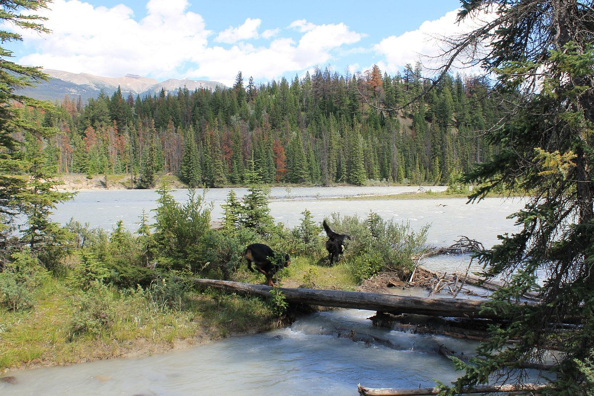 wabasso-campground-3924865536.jpg
