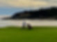 IMG_2284.jpeg