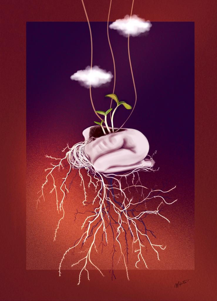 SEED