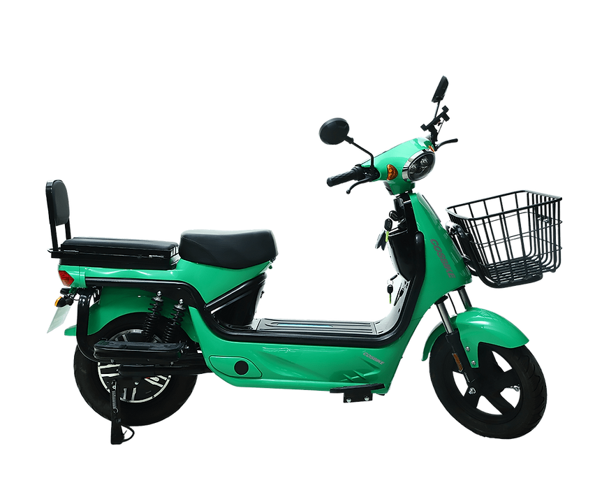 winner-green.png