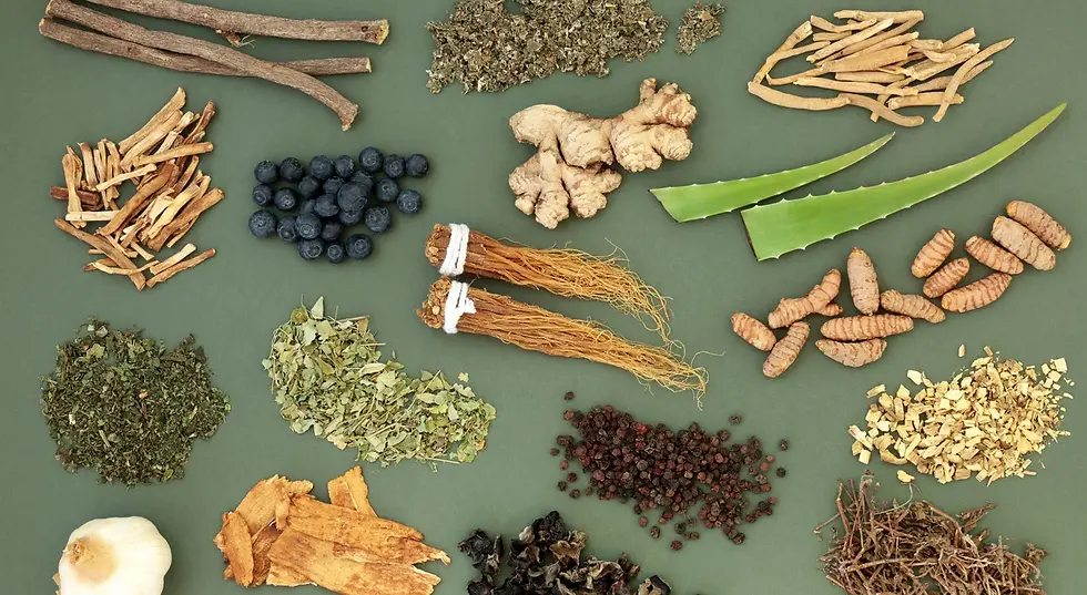 plantes adaptogènes