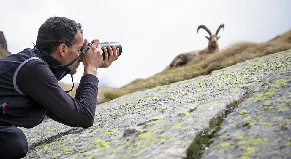 spots pour la photographie animalière