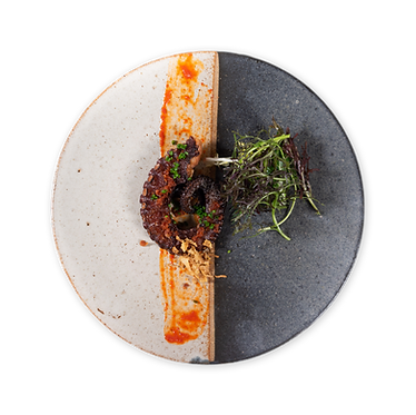 Pulpo-Grillado.png