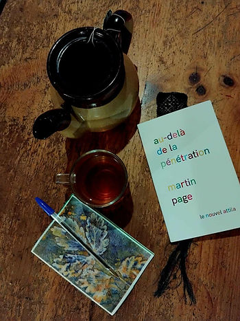 lecture sx - au delà de la pénétration, Martin Page, Ed. le nouvel attila, 2020