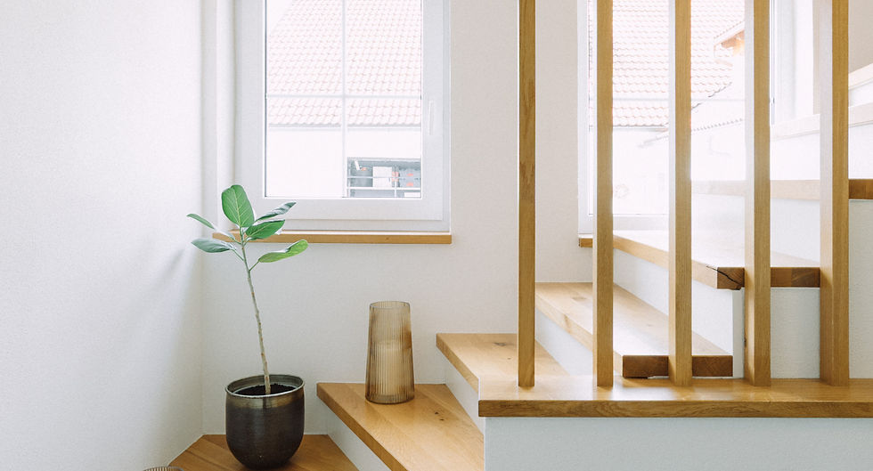 Holzbau-Putze.jpg