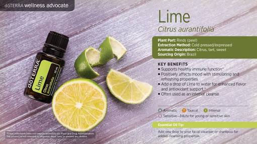 Recipe: Lime cheesecake
