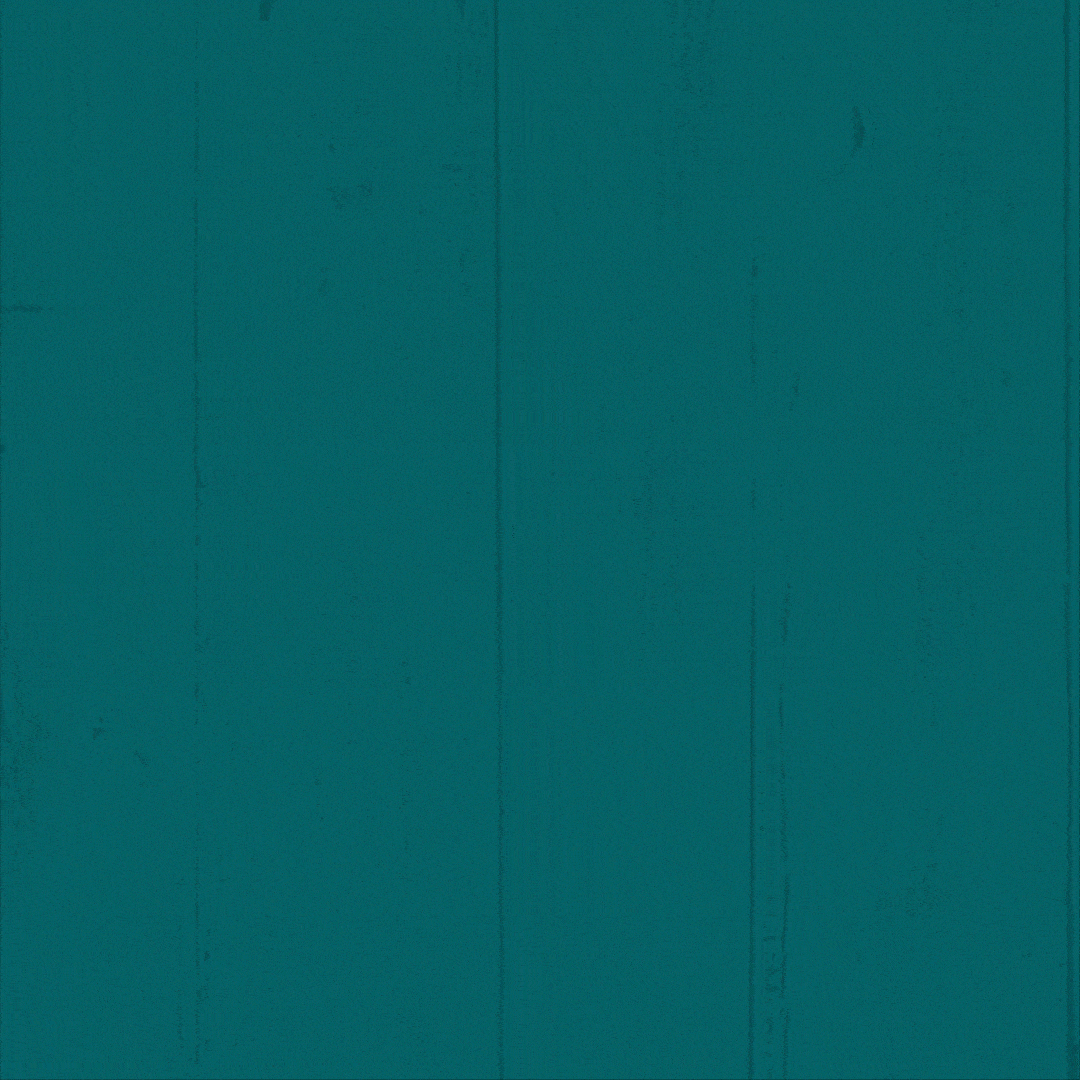 5 logo_1.gif