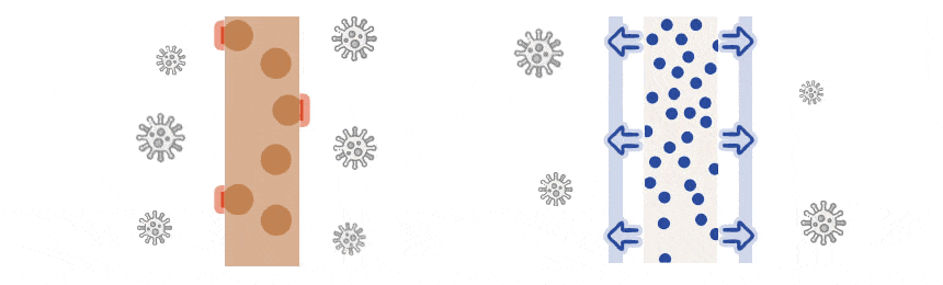 GVA GIF.gif