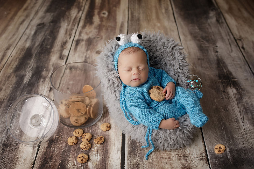 Cookie Monster newborn photo