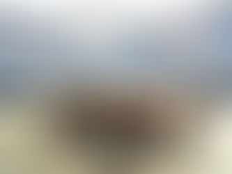 11.06.2026 Hauptversammlung                       die HV findet wie gewohnt im Clubhaus statt und beginnt um 19.00 Uhr. Anschliessend Essen und  das Eröffnungsspiel der WM 2026 ansehen.