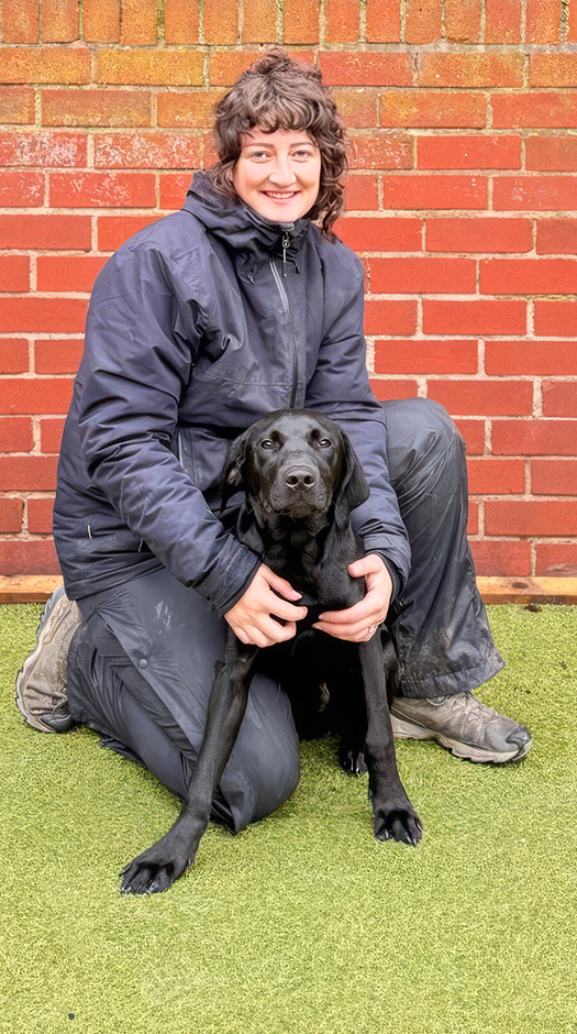 Walkieees with Molly Dry and Murphy