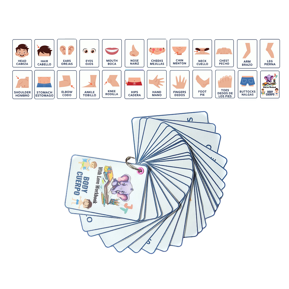 Body - Cuerpo Beginners Flash Cards