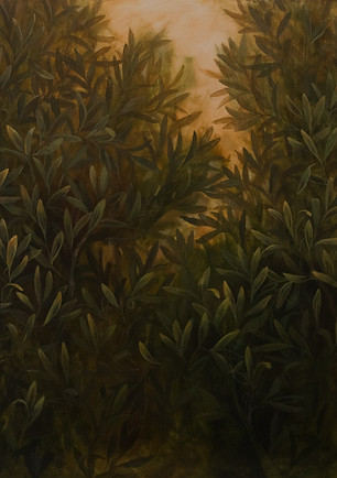 Olive Tree - 72x50.jpg
