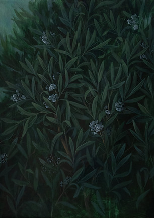 Oleandri- 30x40.jpg