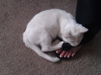 IMAG0188.jpg