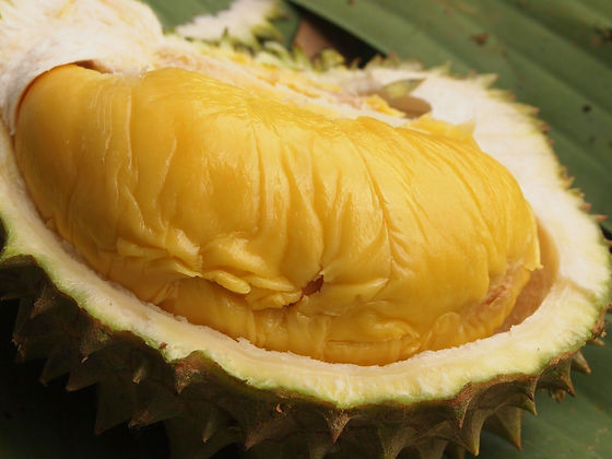 durian.jpg