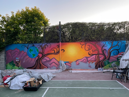 The Impact of Murals on Community Identity and Culture