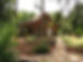 Image-empty-state.png
