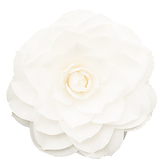 camellia-white_edited.png