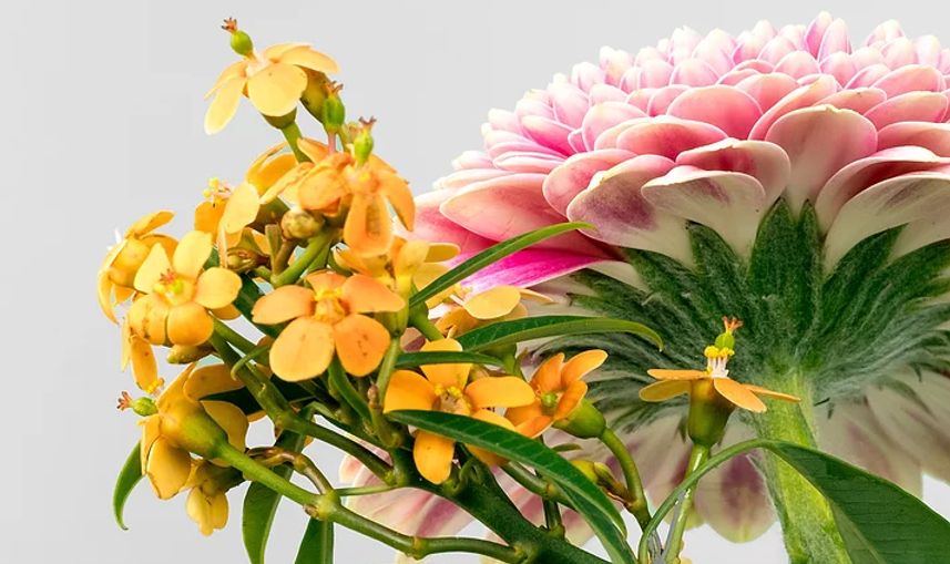 Exotic flowers.png