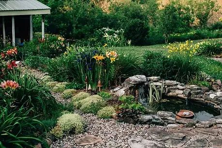 beautiful-pond-stone-path-and-lily-flower-garden-2024-09-15-08-13-59-utc.webp