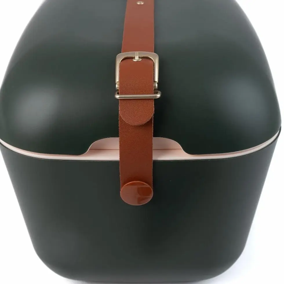 Miniatura: POLARBOX - BORSA TERMICA 20L - FOREST - GOLD