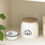 Thumbnail: IB LAURSEN - CONTENITORE CON COPERCHIO - CANE