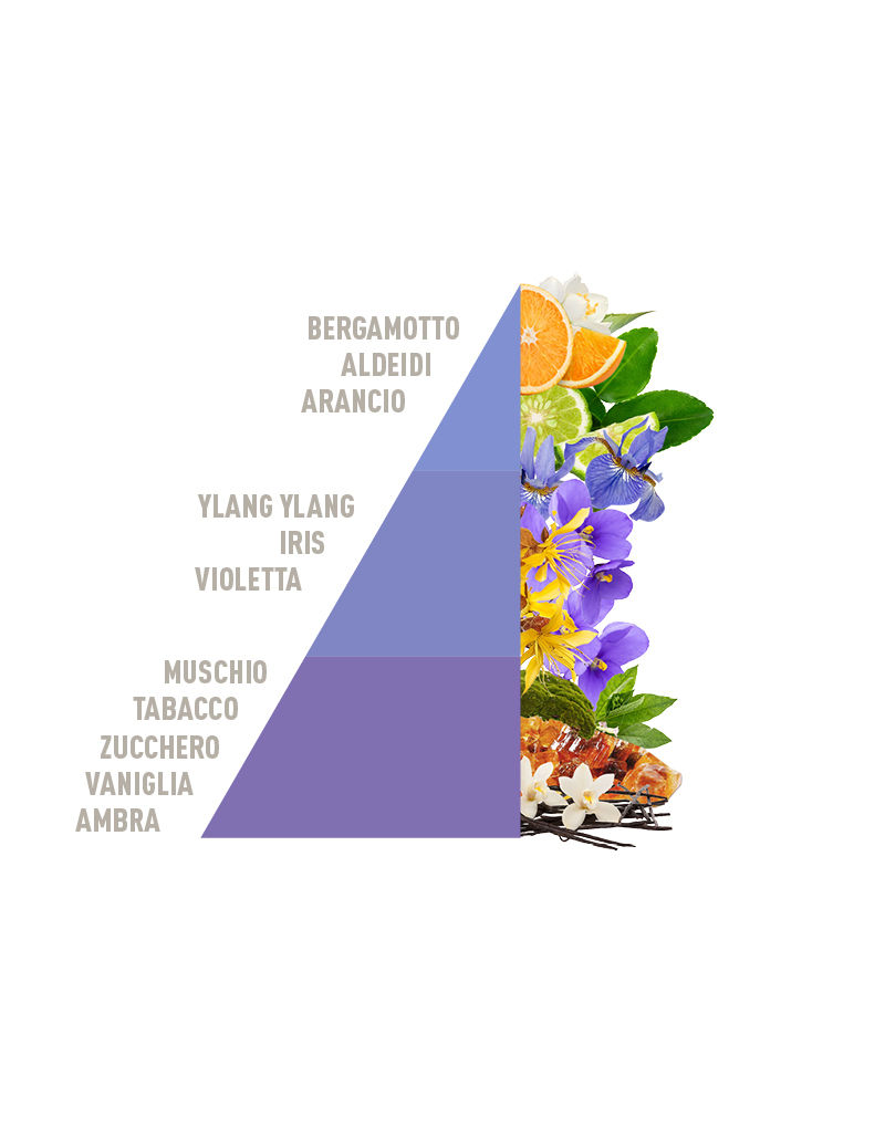 Miniatura: HOROMIA - PROFUMA BUCATO - IRIS SUBLIME