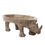 Thumbnail: AMADEUS CADES - RHINOCEROS CUP