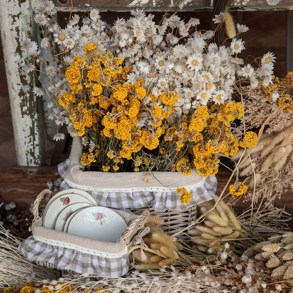 Miniatura: BLANC MARICLO'- SET 2 CESTI CON MANICI