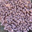 Thumbnail: VIANATECE - TAPPETO TARTUFO - ROSA SCURO