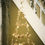 Thumbnail: IB LAURSEN - FILO DI LUCI INDOOR - STELLE