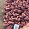 Thumbnail: VIANATECE - TAPPETO TARTUFO - TERRACOTTA