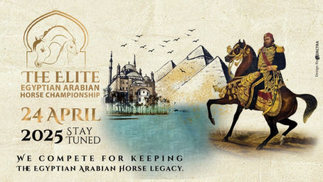 The Elite Egyptian AHC 2025