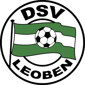 dsv_leoben.webp