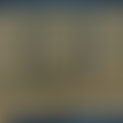 Business Model CANVAS