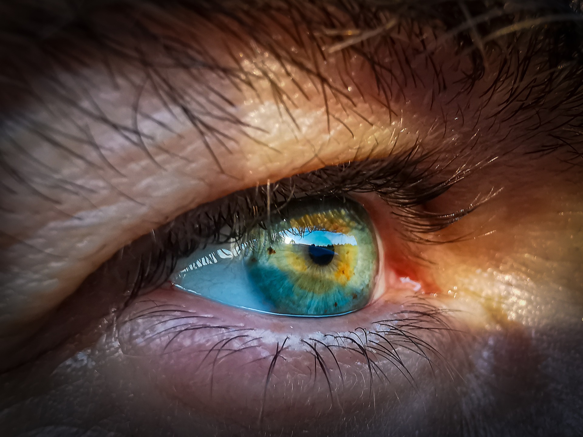 Construire une vision claire quand on est dirigeant de TPE : une méthode simple en 5 étapes