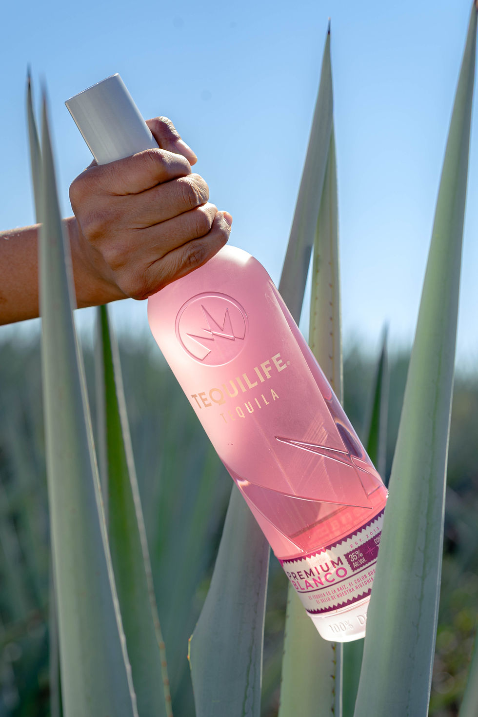 Tequilife Rosa en el campo agavero.